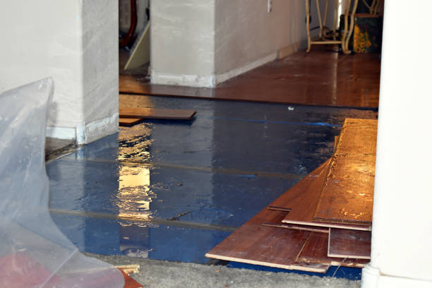 Professional Burst Pipe Cleanup technician working in Inwood, NY